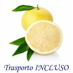 Kg. 4 di POMPELMI Gialli buccia edibile - TRASPORTO INCLUSO