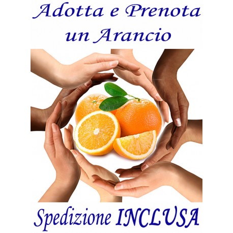 PRENOTA ADOTTA e REGALA UN ARANCIO - SPEDIZIONE INCLUSA