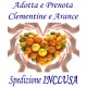 PRENOTA e ADOTTA Kg.9 di Agrumi: CLEMENTINE e ARANCE - TRASPORTO INCLUSO
