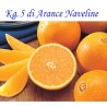 Ordina Kg. 5 di Arance Naveline/Washington  di Corigliano-Rossano - Calabria