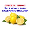 OFFERTA: Kg. 9 di LIMONI buccia edibile di Corigliano Calabro - Trasporto INCLUSO