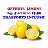 OFFERTA: Kg. 5 di LIMONI buccia edibile di Corigliano Calabro - Trasporto INCLUSO
