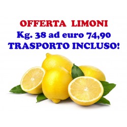 OFFERTA: Kg. 38 di LIMONI buccia edibile di Corigliano Calabro - Trasporto INCLUSO