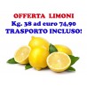OFFERTA: Kg. 38 di LIMONI buccia edibile di Corigliano Calabro - Trasporto INCLUSO