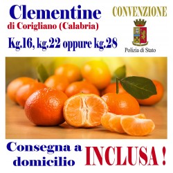 Box Kg.16, KG.22 opp kg.28 di CLEMENTINEI - TRASPORTO INCLUSO