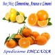 BOX MIX: Kg.15 di Agrumi: CLEMENTINE, ARANCE e LIMONI - TRASPORTO INCLUSO