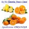 Box Mix: Kg.21 di Agrumi: CLEMENTINE, ARANCE e LIMONI - TRASPORTO INCLUSO