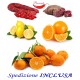 Box Mix Kg.8 di Agrumi di cui: CLEMENTINE, ARANCE e LIMONI + SALSICCIA e SOPPRESSATA CON TRASPORTO INCLUSO