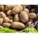 kg.5 di PATATE Silane Novelle a pasta gialla coltivate in Sila Calabria CON TRASPORTO INCLUSO