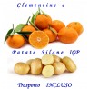 Box Mix: Kg.10 di CLEMENTINE + Kg.5 di PATATE della Sila IGP novelle pasta gialla - TRASPORTO INCLUSO