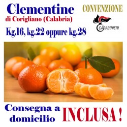 Box Kg.16, KG.22 opp kg.28 di CLEMENTINE - TRASPORTO INCLUSO