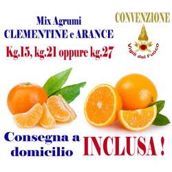 Box Mix Agrumi: CLEMENTINE e ARANCE - TRASPORTO INCLUSO