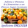 SUPER Prova Assaggio QUALITA' kg. 5 di CLEMENTINE - TRASPORTO INCLUSO