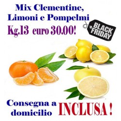 Offerta Black Friday Kg.13 di Agrumi: CLEMENTINE, LIMONI e POMPELMI - TRASPORTO INCLUSO
