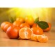 Offerta Natale  Kg.15 di CLEMENTINE - TRASPORTO INCLUSO