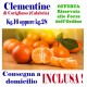 Box Kg.16 opp kg.28 di CLEMENTINE - TRASPORTO INCLUSO