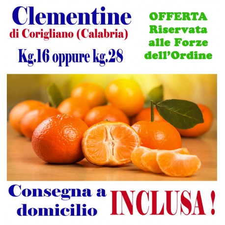 Box Kg.16 opp kg.28 di CLEMENTINE - TRASPORTO INCLUSO