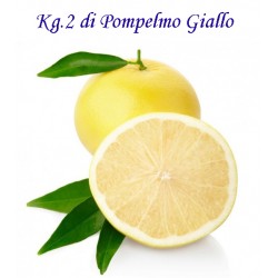 Kg. 2 di POMPELMI Gialli di Corigliano Calabro con buccia edibile